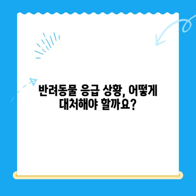 동물병원 24시| 심장이 뛴다 38.5 | 응급 상황, 증상, 대처법, 동물병원 찾기 |