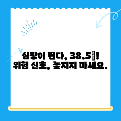 동물병원 24시| 심장이 뛴다 38.5 | 응급 상황, 증상, 대처법, 동물병원 찾기 |