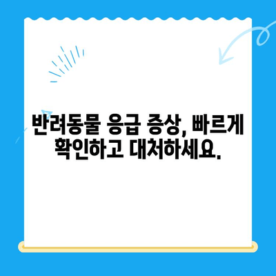 동물병원 24시| 심장이 뛴다 38.5 | 응급 상황, 증상, 대처법, 동물병원 찾기 |