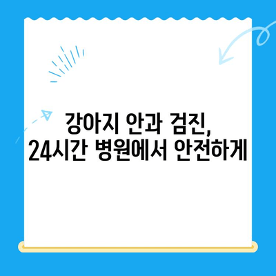 강아지 안과 검진, 24시간 병원에서 안전하게 | 응급 상황, 전문 의료진, 야간 진료