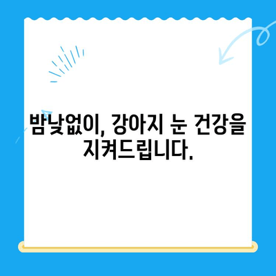 강아지 안과 검진, 24시간 병원에서 안전하게 | 응급 상황, 전문 의료진, 야간 진료