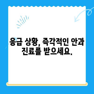 강아지 안과 검진, 24시간 병원에서 안전하게 | 응급 상황, 전문 의료진, 야간 진료