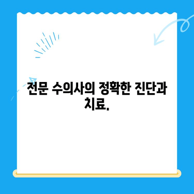 강아지 안과 검진, 24시간 병원에서 안전하게 | 응급 상황, 전문 의료진, 야간 진료