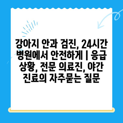 강아지 안과 검진, 24시간 병원에서 안전하게 | 응급 상황, 전문 의료진, 야간 진료