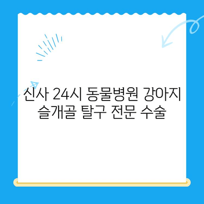 신사 24시 동물병원 강아지 슬개골 탈구 전문 수술| 성공적인 치료를 위한 안내 | 슬개골 탈구, 강아지 수술, 신사동 동물병원