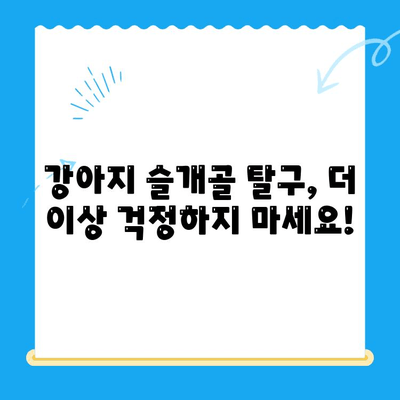 신사 24시 동물병원 강아지 슬개골 탈구 전문 수술| 성공적인 치료를 위한 안내 | 슬개골 탈구, 강아지 수술, 신사동 동물병원