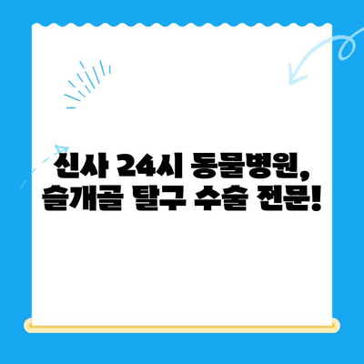 신사 24시 동물병원 강아지 슬개골 탈구 전문 수술| 성공적인 치료를 위한 안내 | 슬개골 탈구, 강아지 수술, 신사동 동물병원