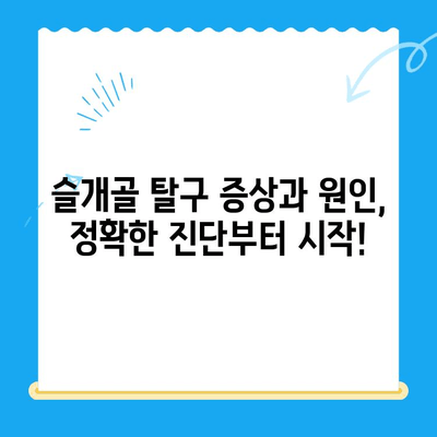 신사 24시 동물병원 강아지 슬개골 탈구 전문 수술| 성공적인 치료를 위한 안내 | 슬개골 탈구, 강아지 수술, 신사동 동물병원