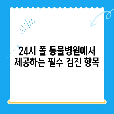 24시 폴 동물병원 고양이 건강검진 필수 사항 완벽 가이드 | 고양이 건강, 건강검진, 필수 항목, 24시 동물병원