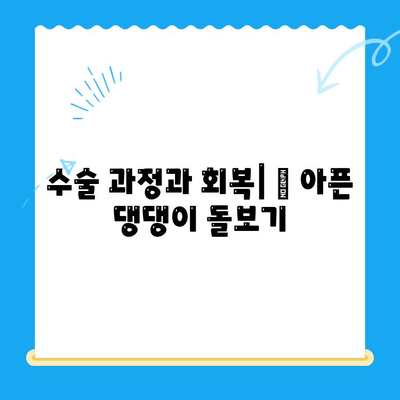 부천 옥길동 24시 동물병원 십자인대 수술 후기| [병원 이름]에서 경험한 이야기 | 🐶 십자인대 수술, 재활, 후기, 부천 동물병원