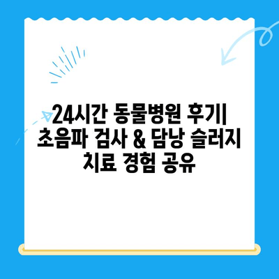 24시간 동물병원 후기| 초음파 검사 & 담낭 슬러지 치료 경험 공유 | 반려동물, 응급 진료, 건강 관리