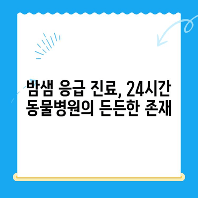 24시간 동물병원 후기| 초음파 검사 & 담낭 슬러지 치료 경험 공유 | 반려동물, 응급 진료, 건강 관리