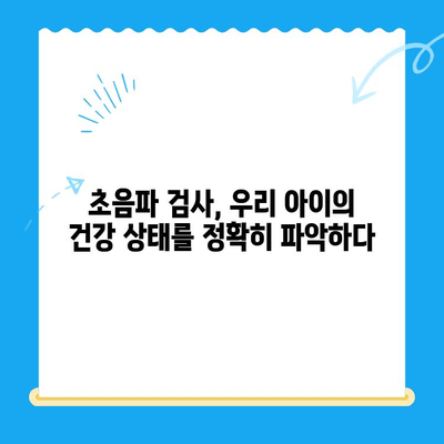 24시간 동물병원 후기| 초음파 검사 & 담낭 슬러지 치료 경험 공유 | 반려동물, 응급 진료, 건강 관리