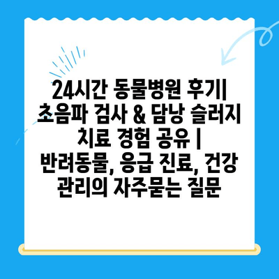 24시간 동물병원 후기| 초음파 검사 & 담낭 슬러지 치료 경험 공유 | 반려동물, 응급 진료, 건강 관리