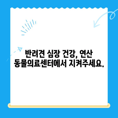 "심장동물병원" 반려견 심장검사| 연산 동물의료센터에서  전문적인 심장 질환 진단 및 치료 받으세요 | 반려견 심장 건강, 심장병, 심장 검사, 연산 동물병원