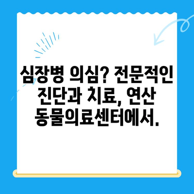 "심장동물병원" 반려견 심장검사| 연산 동물의료센터에서  전문적인 심장 질환 진단 및 치료 받으세요 | 반려견 심장 건강, 심장병, 심장 검사, 연산 동물병원