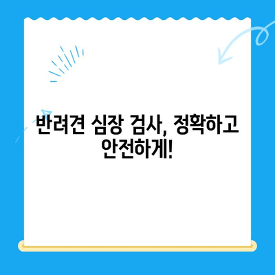 "심장동물병원" 반려견 심장검사| 연산 동물의료센터에서  전문적인 심장 질환 진단 및 치료 받으세요 | 반려견 심장 건강, 심장병, 심장 검사, 연산 동물병원