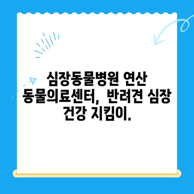 "심장동물병원" 반려견 심장검사| 연산 동물의료센터에서  전문적인 심장 질환 진단 및 치료 받으세요 | 반려견 심장 건강, 심장병, 심장 검사, 연산 동물병원