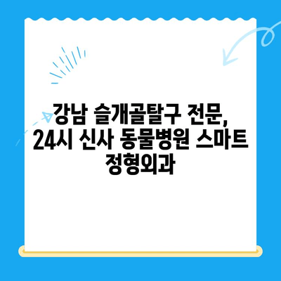 24시 신사 동물병원 스마트 정형외과| 슬개골탈구 치료 전문 | 강남, 슬개골, 수술, 재활, 전문의