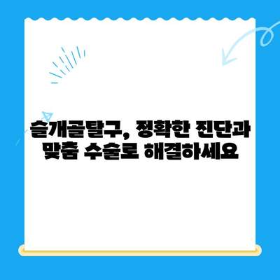 24시 신사 동물병원 스마트 정형외과| 슬개골탈구 치료 전문 | 강남, 슬개골, 수술, 재활, 전문의