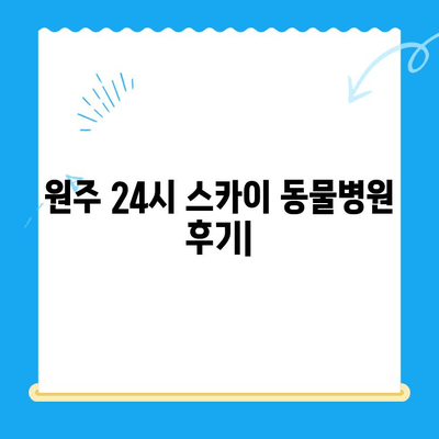 원주 24시 스카이 동물병원| 강아지 사지마비/갈색뇨 치료 후기 & 추천 | 원주 동물병원, 강아지 질병, 24시 응급