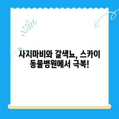 원주 24시 스카이 동물병원| 강아지 사지마비/갈색뇨 치료 후기 & 추천 | 원주 동물병원, 강아지 질병, 24시 응급