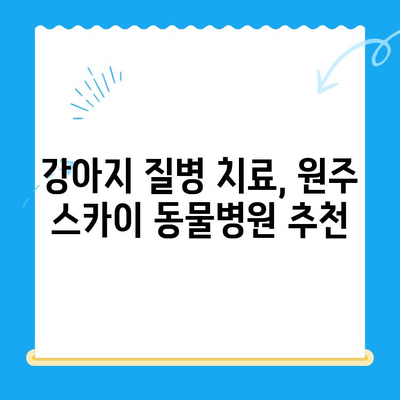 원주 24시 스카이 동물병원| 강아지 사지마비/갈색뇨 치료 후기 & 추천 | 원주 동물병원, 강아지 질병, 24시 응급