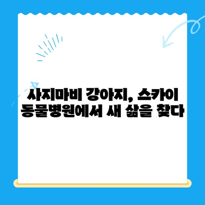 원주 24시 스카이 동물병원| 강아지 사지마비/갈색뇨 치료 후기 & 추천 | 원주 동물병원, 강아지 질병, 24시 응급