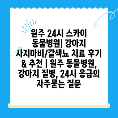 원주 24시 스카이 동물병원| 강아지 사지마비/갈색뇨 치료 후기 & 추천 | 원주 동물병원, 강아지 질병, 24시 응급