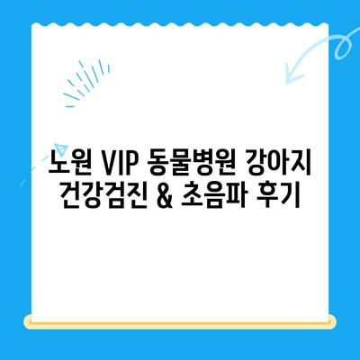 노원 VIP 동물병원 강아지 건강검진 & 초음파 검사 후기| 상세 경험 공유 | 노원, 동물병원, 건강검진, 초음파, 강아지