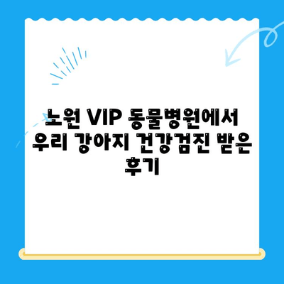 노원 VIP 동물병원 강아지 건강검진 & 초음파 검사 후기| 상세 경험 공유 | 노원, 동물병원, 건강검진, 초음파, 강아지