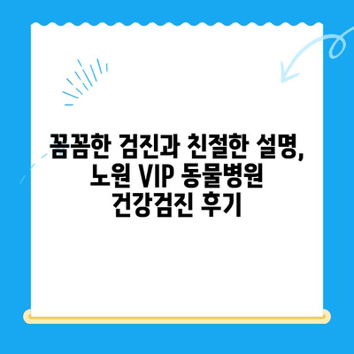 노원 VIP 동물병원 강아지 건강검진 & 초음파 검사 후기| 상세 경험 공유 | 노원, 동물병원, 건강검진, 초음파, 강아지