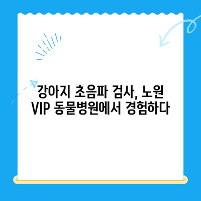 노원 VIP 동물병원 강아지 건강검진 & 초음파 검사 후기| 상세 경험 공유 | 노원, 동물병원, 건강검진, 초음파, 강아지