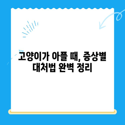 고양이 건강 체크, 집에서부터 24시 동물병원 검진까지! | 건강 관리, 증상, 응급 상황, 동물병원, 검진