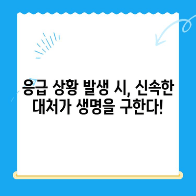 고양이 건강 체크, 집에서부터 24시 동물병원 검진까지! | 건강 관리, 증상, 응급 상황, 동물병원, 검진