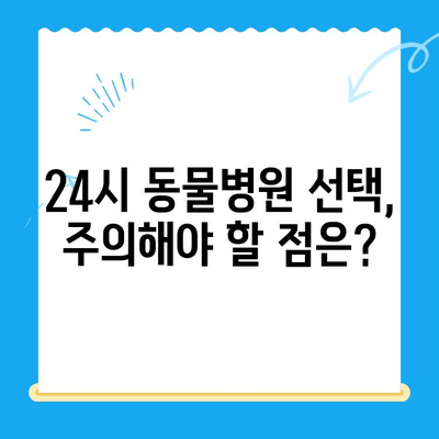 고양이 건강 체크, 집에서부터 24시 동물병원 검진까지! | 건강 관리, 증상, 응급 상황, 동물병원, 검진