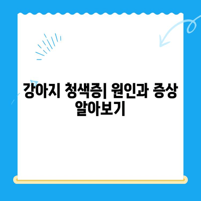 강아지 청색증 치료| 비용, 수술, 그리고 희망 | 청색증, 강아지 질병, 수의학, 치료 정보