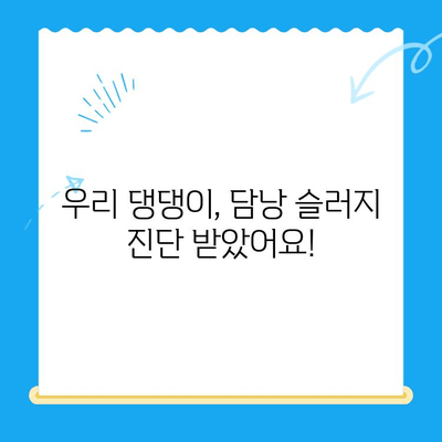 [24시 동물병원] 초음파 검사 후 담낭 슬러지 치료 후기| 반려동물 건강 이야기 | 담낭 슬러지, 초음파 검사, 동물병원 후기, 반려동물 건강