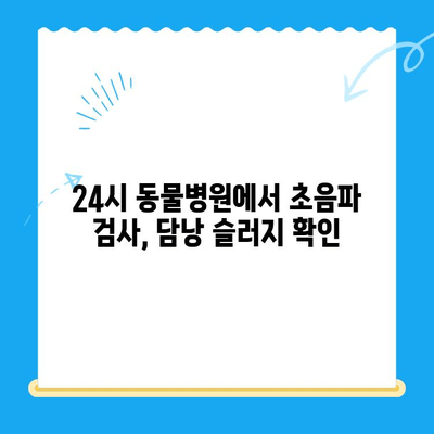 [24시 동물병원] 초음파 검사 후 담낭 슬러지 치료 후기| 반려동물 건강 이야기 | 담낭 슬러지, 초음파 검사, 동물병원 후기, 반려동물 건강