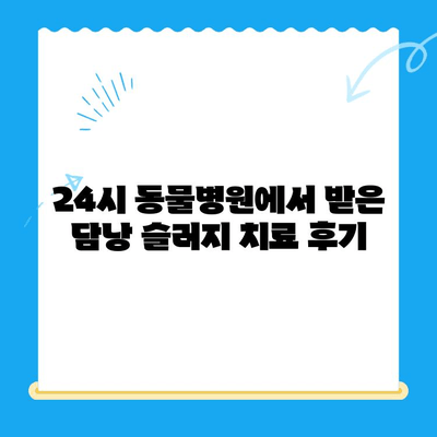 [24시 동물병원] 초음파 검사 후 담낭 슬러지 치료 후기| 반려동물 건강 이야기 | 담낭 슬러지, 초음파 검사, 동물병원 후기, 반려동물 건강