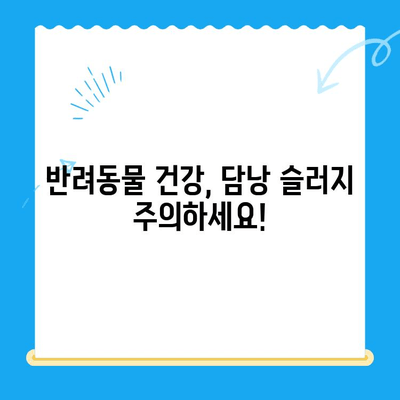 [24시 동물병원] 초음파 검사 후 담낭 슬러지 치료 후기| 반려동물 건강 이야기 | 담낭 슬러지, 초음파 검사, 동물병원 후기, 반려동물 건강