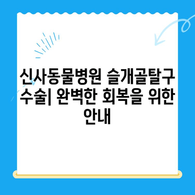 신사동물병원 슬개골탈구 수술| 완벽한 회복을 위한 안내 | 슬개골탈구, 수술 과정, 재활, 비용