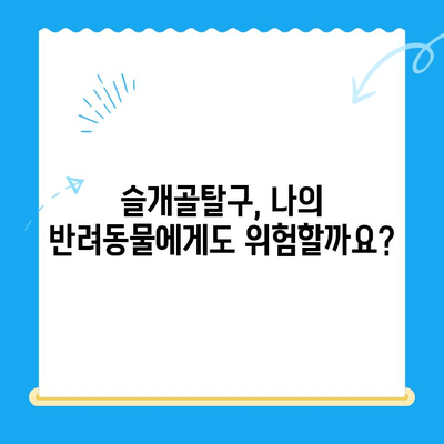 신사동물병원 슬개골탈구 수술| 완벽한 회복을 위한 안내 | 슬개골탈구, 수술 과정, 재활, 비용