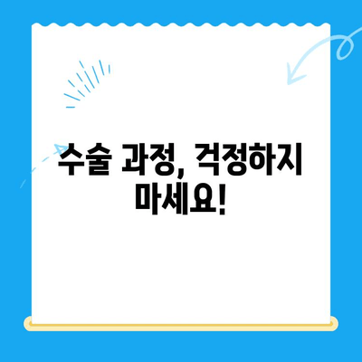 신사동물병원 슬개골탈구 수술| 완벽한 회복을 위한 안내 | 슬개골탈구, 수술 과정, 재활, 비용