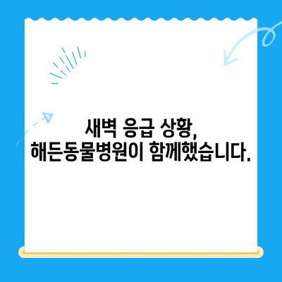 해든동물메디컬센터 응급실 이용 후기| 실제 경험담 & 상세 리뷰 | 동물병원, 응급진료, 24시간, 해든동물병원
