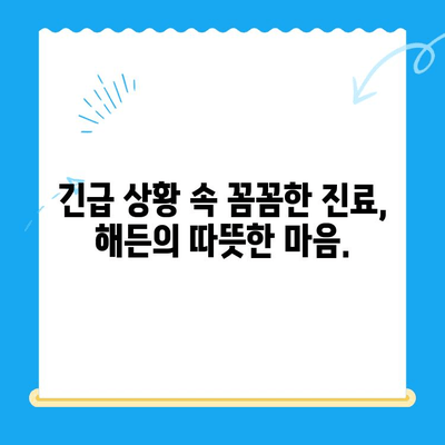 해든동물메디컬센터 응급실 이용 후기| 실제 경험담 & 상세 리뷰 | 동물병원, 응급진료, 24시간, 해든동물병원