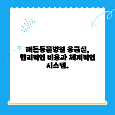 해든동물메디컬센터 응급실 이용 후기| 실제 경험담 & 상세 리뷰 | 동물병원, 응급진료, 24시간, 해든동물병원