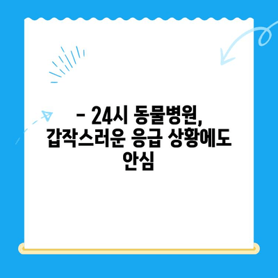 24시 고양이 병원에서 냥이 건강 체크! 꼭 알아야 할 5가지 | 고양이 건강, 건강검진, 24시 동물병원, 고양이 질병