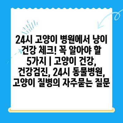 24시 고양이 병원에서 냥이 건강 체크! 꼭 알아야 할 5가지 | 고양이 건강, 건강검진, 24시 동물병원, 고양이 질병