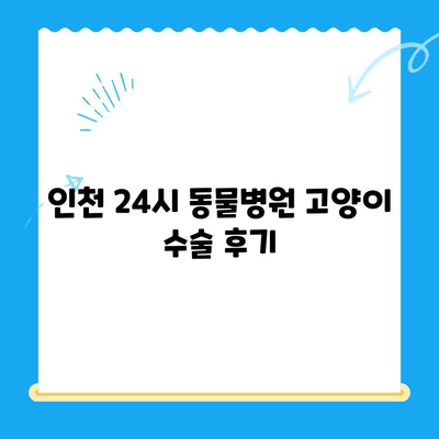 인천 24시 동물병원 고양이 수술 후기| 경험담, 비용, 주의사항 총정리 | 고양이 수술, 동물병원 추천, 수술 후 관리